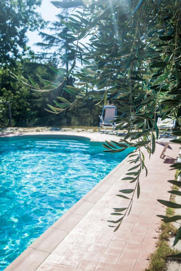 Podere Risoino Holiday home *