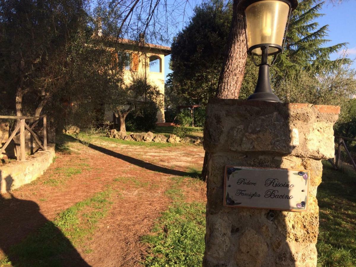 Podere Risoino * Poggibonsi